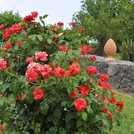 Bed & Breakfast Feudogrande Bio Relais 3*