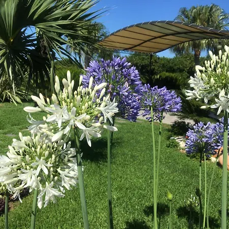 Bed & Breakfast Feudogrande Bio Relais Fiumefreddo di Sicilia
