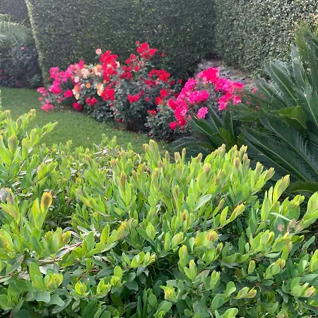 Feudogrande Bio Relais Bed & Breakfast